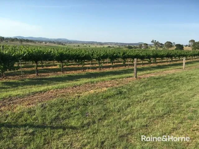 Live among the Vineyards