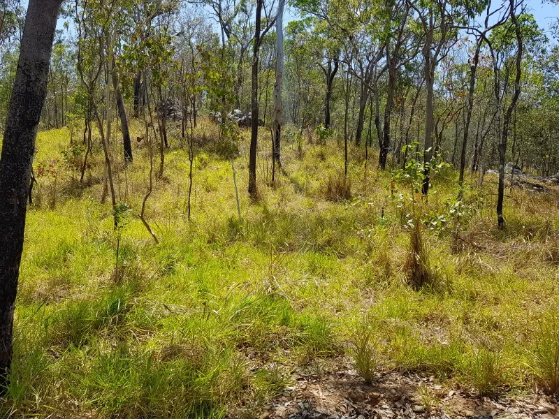 37 ACRES OF LIFESTYLE POTENTIAL!