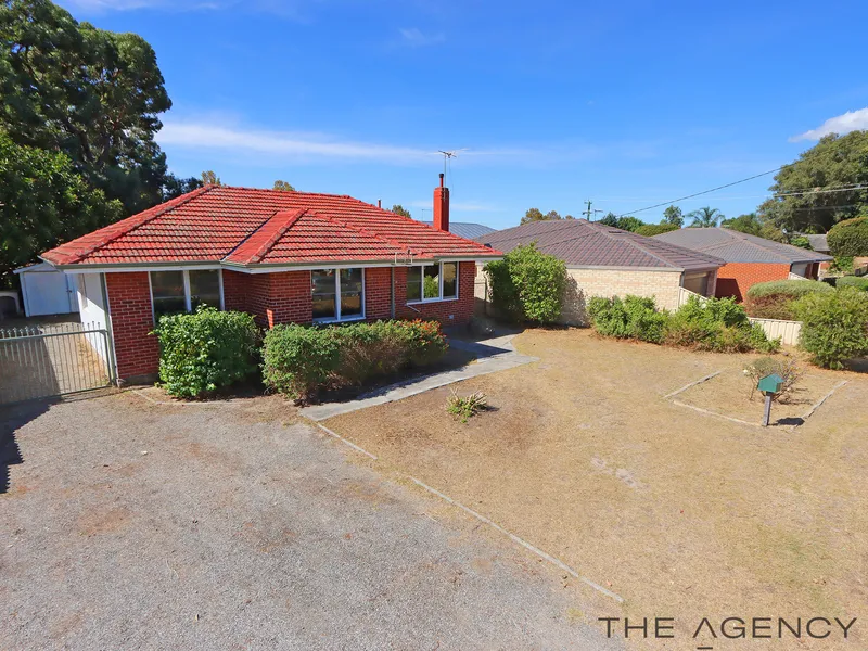 RENOVATORS DELIGHT