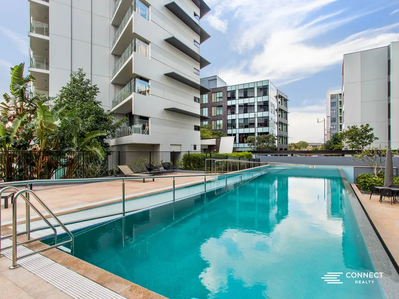 Amazing 2 & 3  bedroom apartments in the heart of Hamilton available now