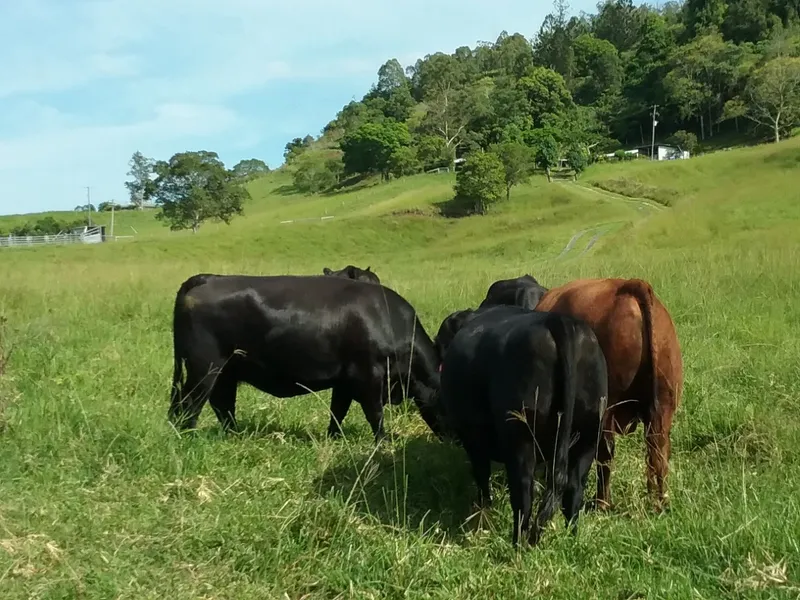 PLANET FARM - $1.495MILLION