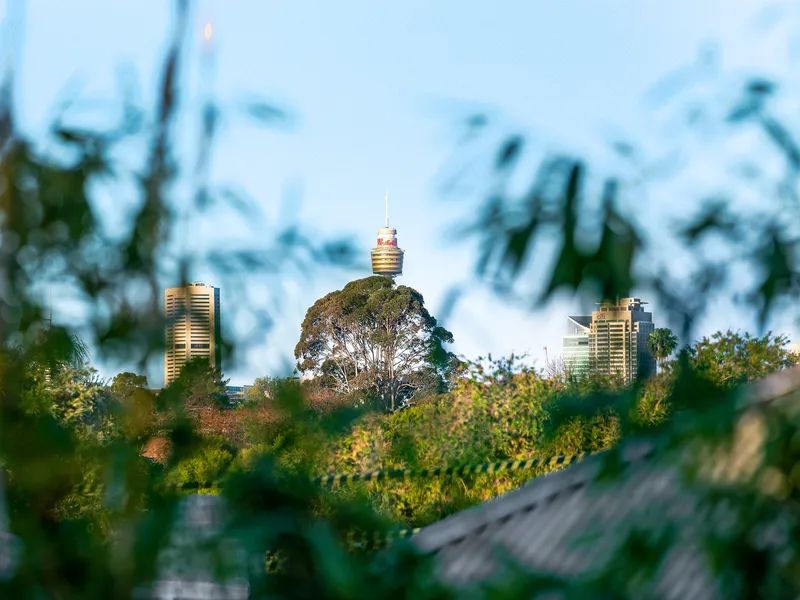 Take advantage of two homes on one lot with large land!