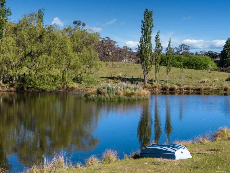 Endless Opportunities in Paradise!