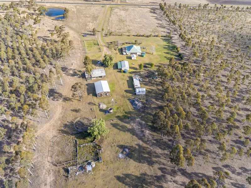 PINEWOOD - HOMESTEAD ON 65 ACRES