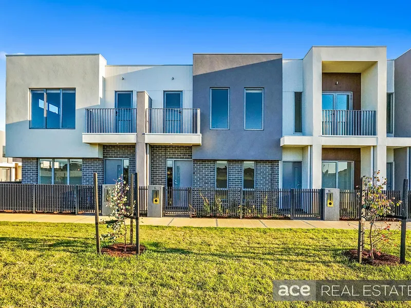 Your Friends will be Envious!!