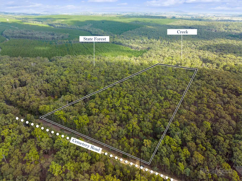 11.7 Acres Beautiful Bushland with Permit, 5 Minutes from Daylesford