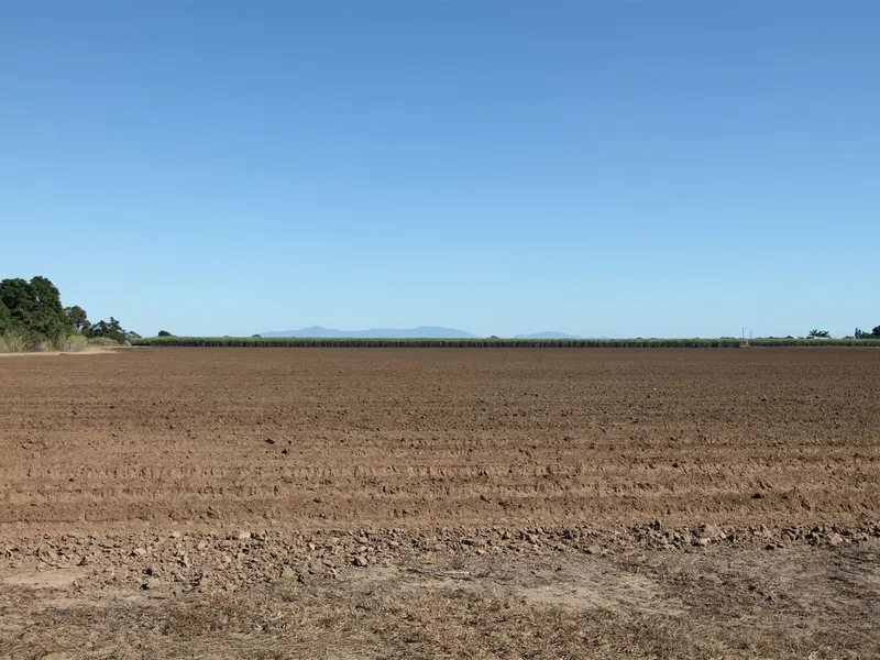 Cane Farm - A Superior Property