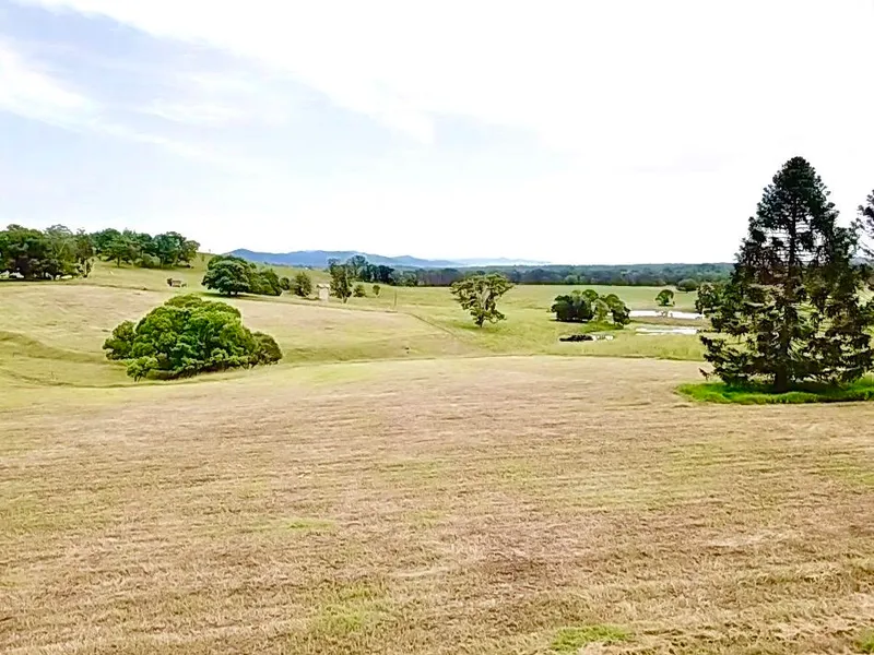 Level hectare at Euroka