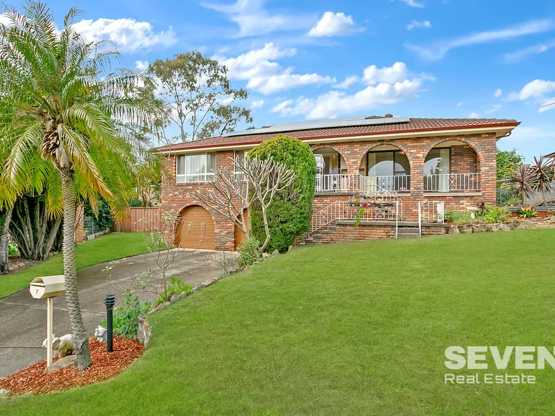 Perfect Family Entertainer