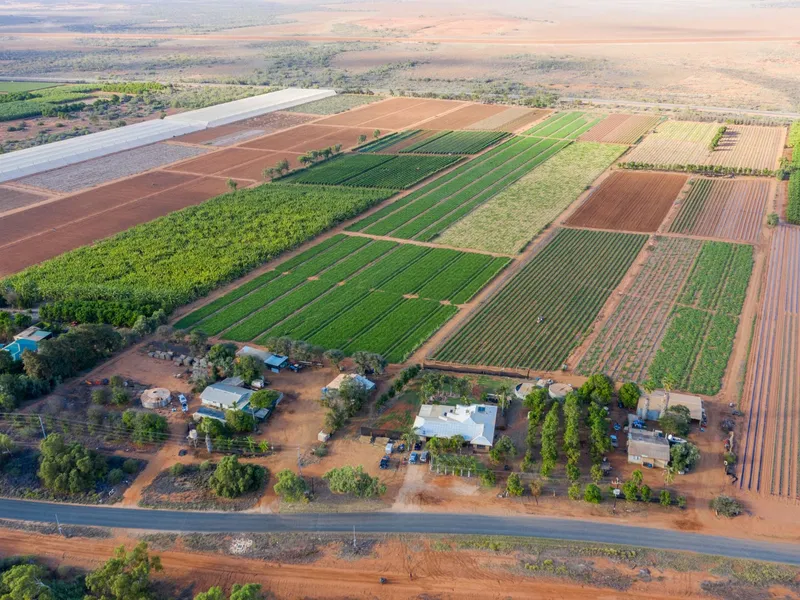 15 ACRES WITH 2 DWELLINGS – ZONED INTENSIVE HORTICULTURE