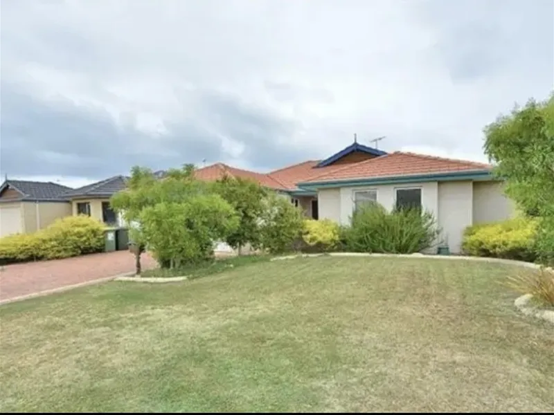 Family Treasure Trove...