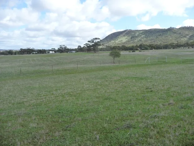 In The Shadows Of Bakewell