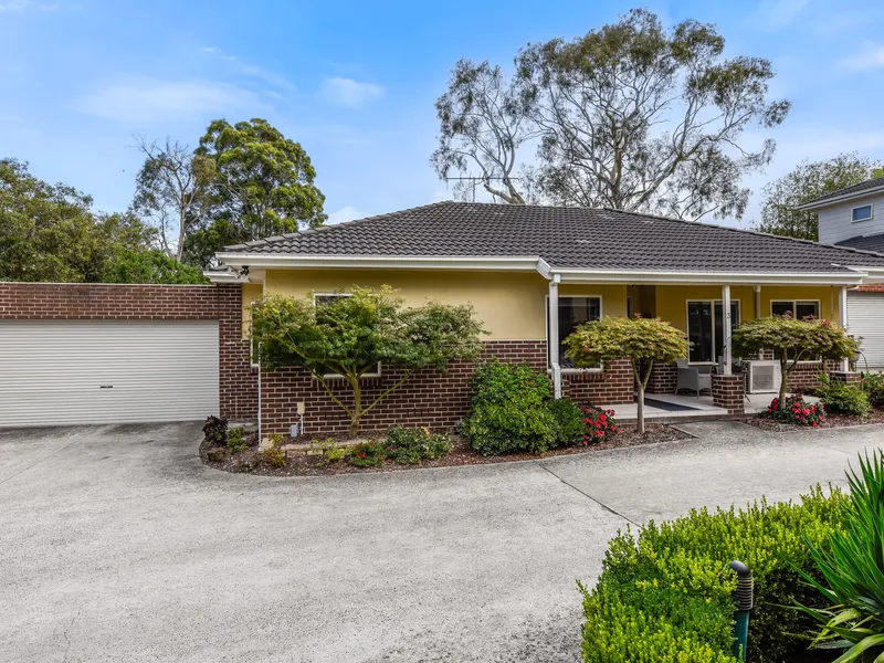 THE BRIEF: Easy-living