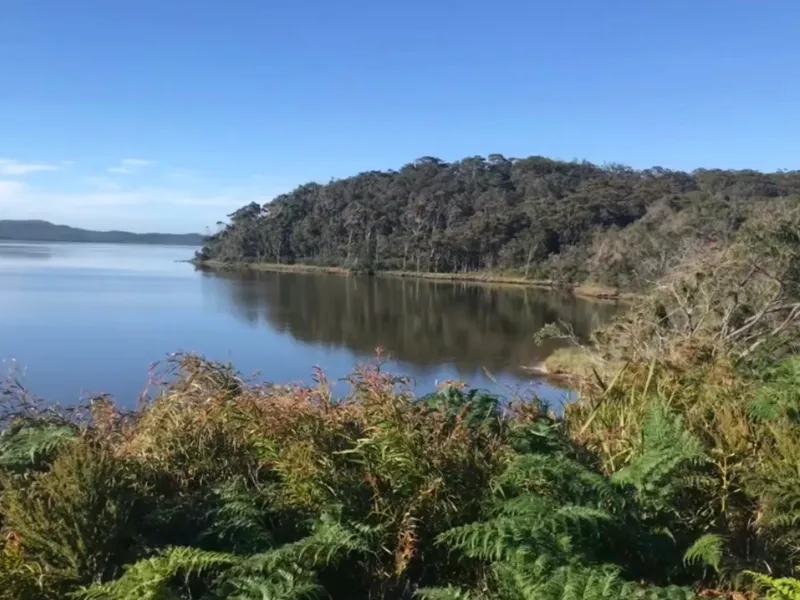 What Dreams Are Made Of!