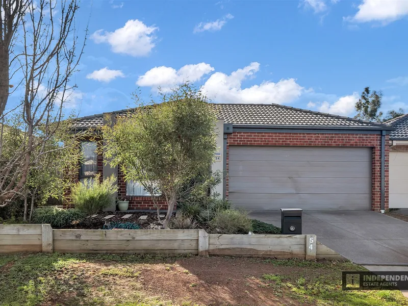 Something You Can't Miss!