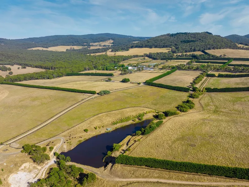 One of Australia's Leading Thoroughbred Studs