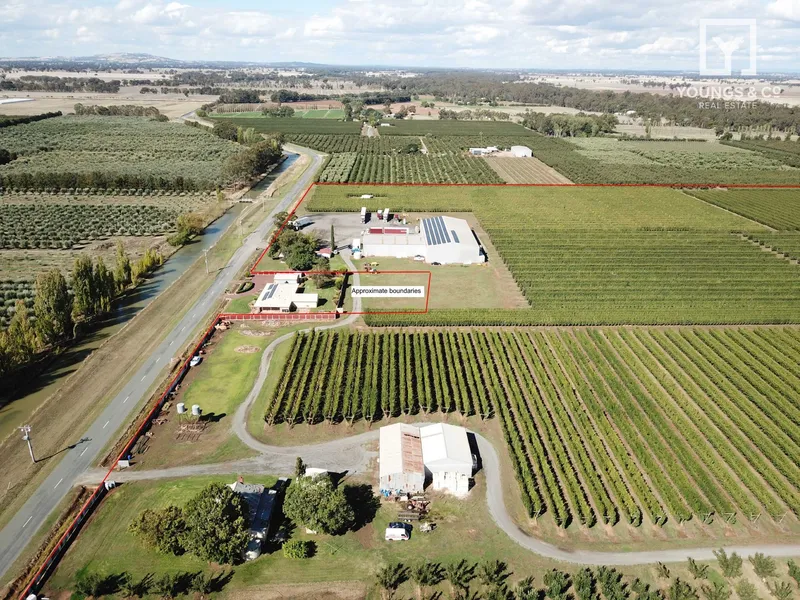 Quality Shepparton District Orchard - 55 Hectares