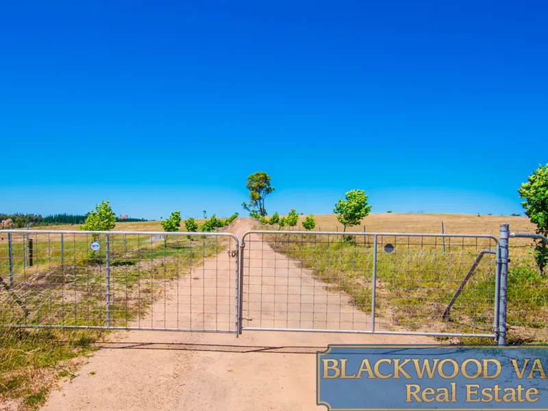 FARMING AND LIFESTYLE WITH SKYLINE VIEWS