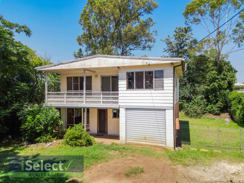 RENOVATORS DELIGHT