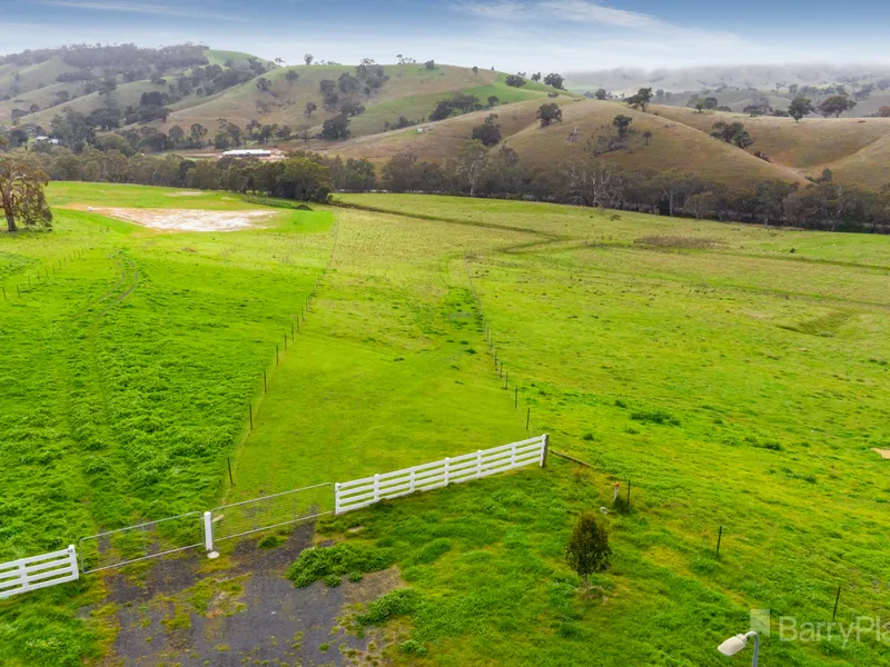 Your very own tree change on 13.2 Acres (approx.)