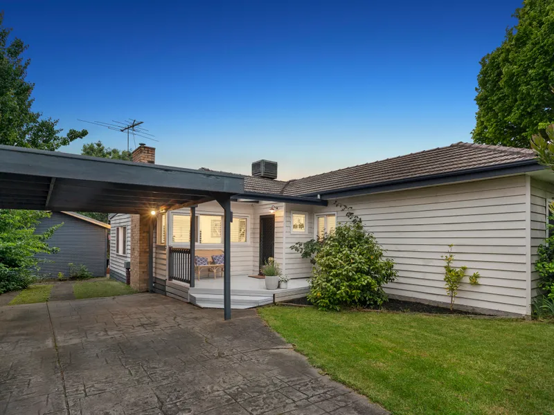 Graceful entertainer in the Box Hill High School zone