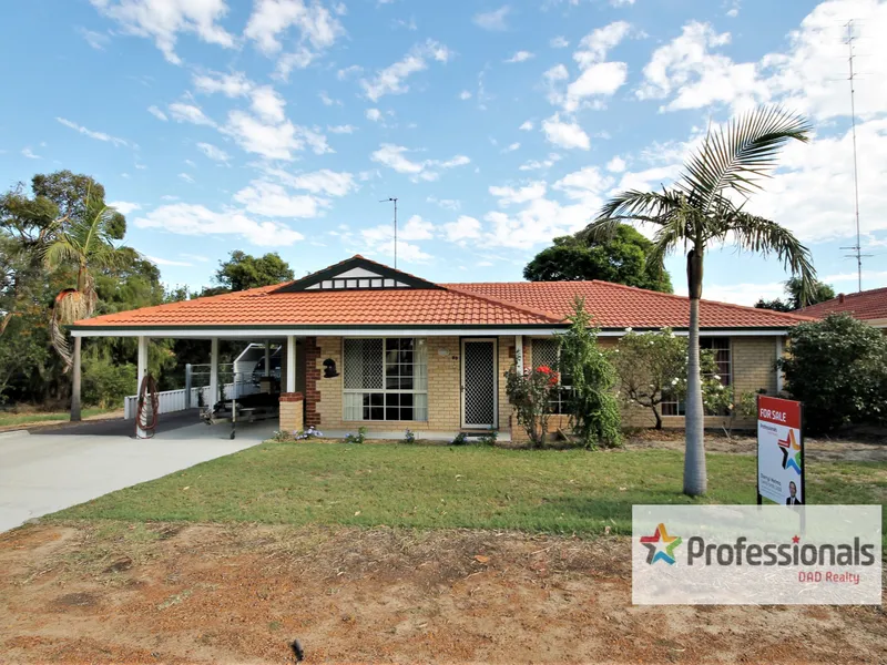 Perfect for the Home Handyman!