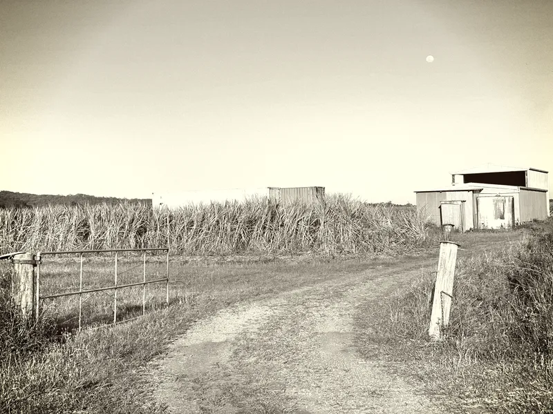 Sunshine Coast Farm Land 