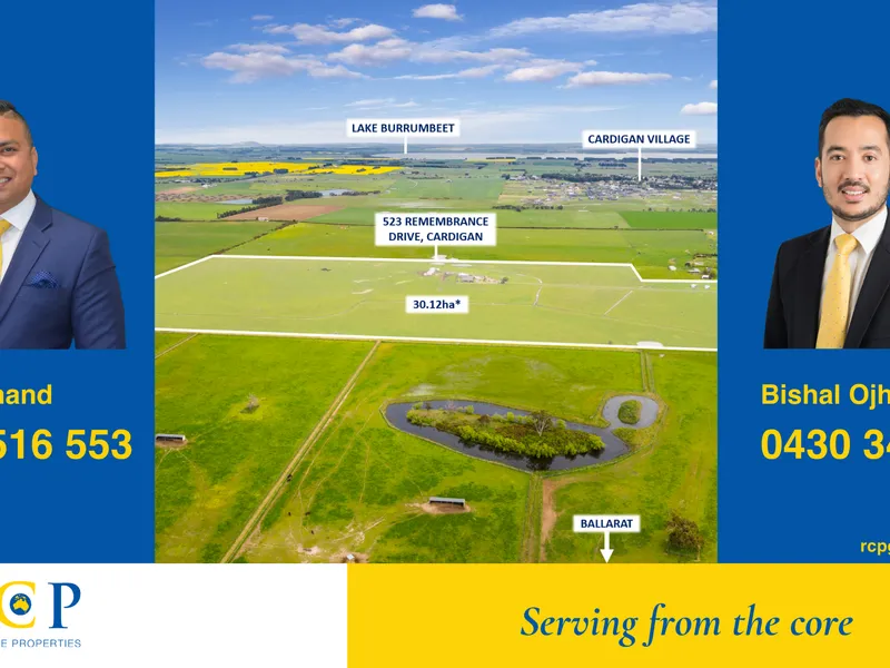 Your Golden Opportunity