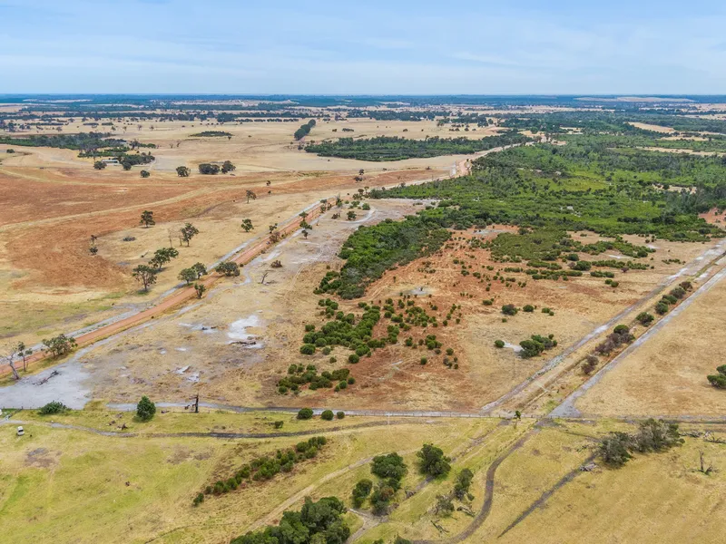 Fifty Acres Vacant Land