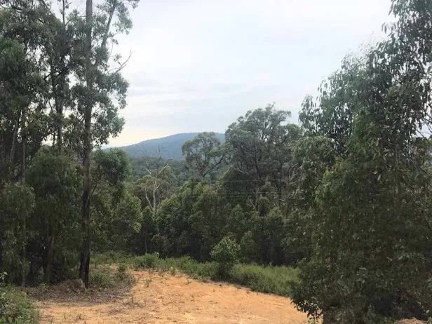 Build your dream country estate!