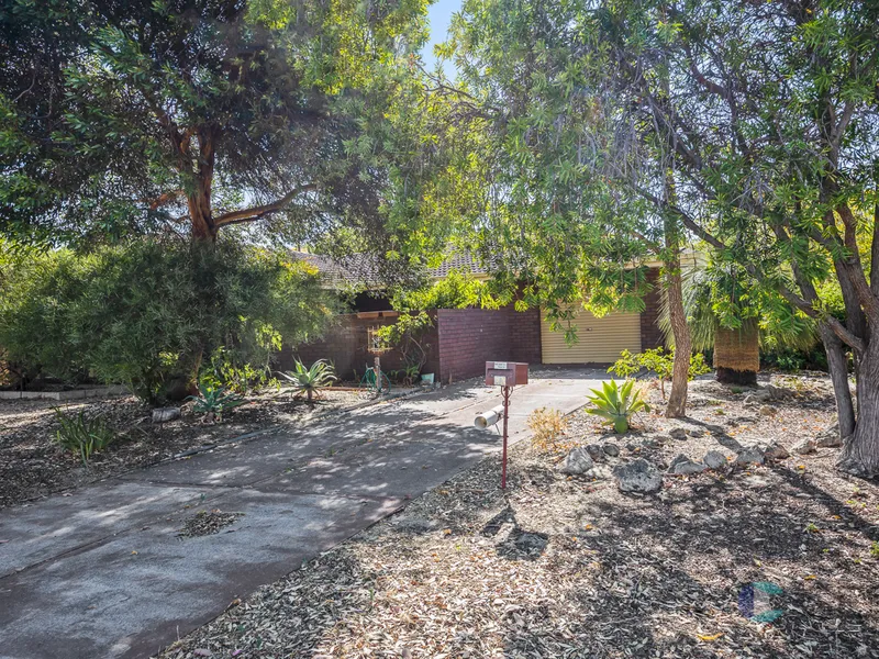 Just Perfect For The Young Family!