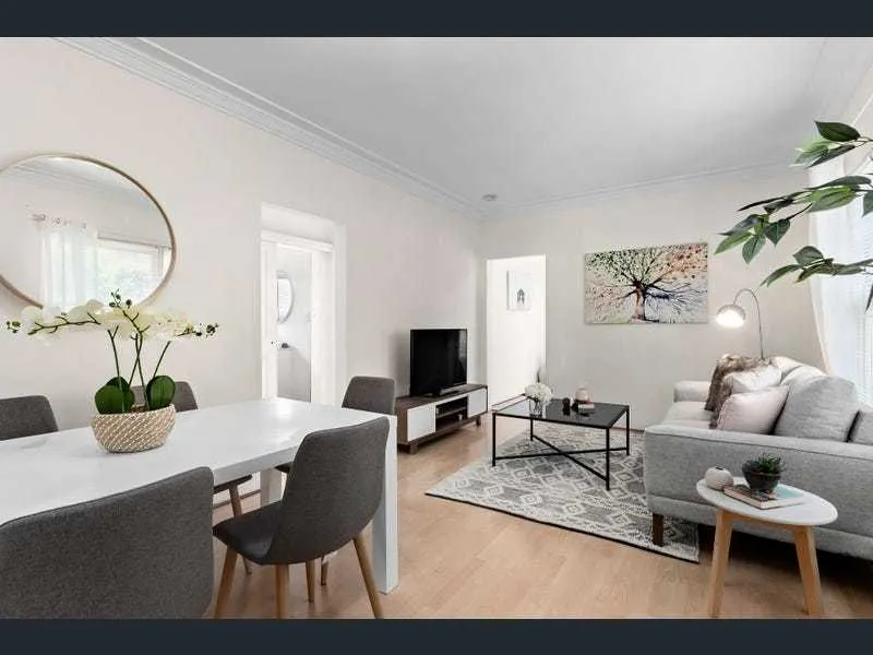 Affordable Renovated 3 Apartment In Prime Location