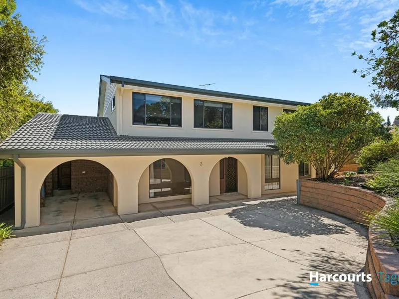 Need Some Space for the Whole Family?