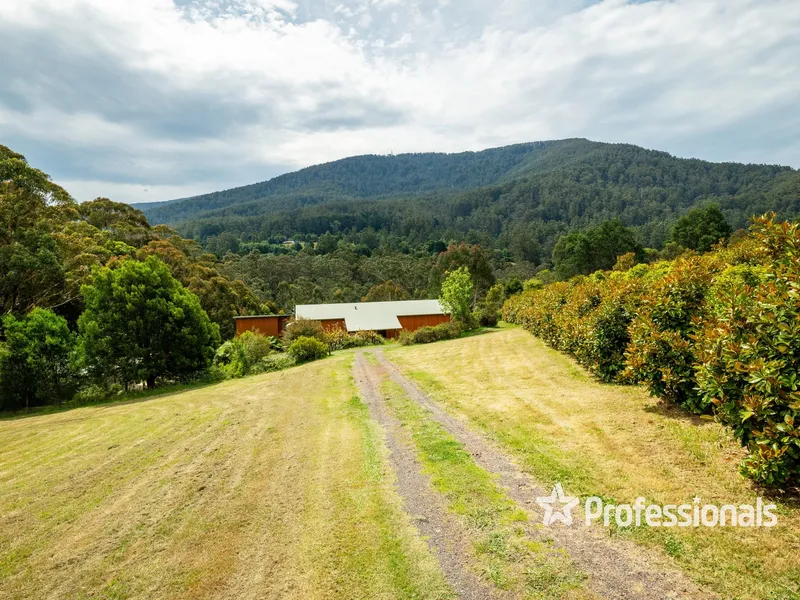 VIEWS & ECO FRIENDLY 15 ACRES APPROX