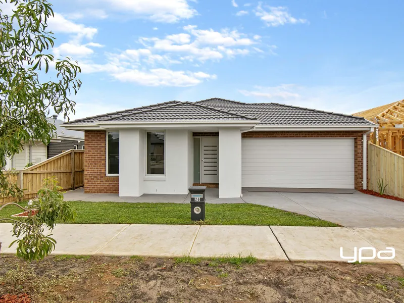 Live Life In Full Bloom!