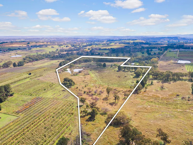 Acreage in Blue-Ribbon Location