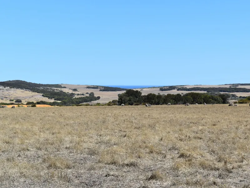 Rural Land Offers Getaway Lifestyle!