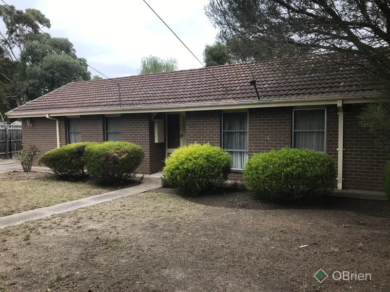 Clean, Comfortable, Quite Court!