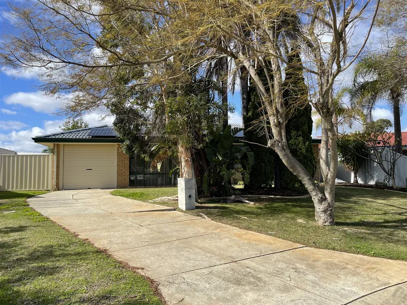 Backyard Paradise...