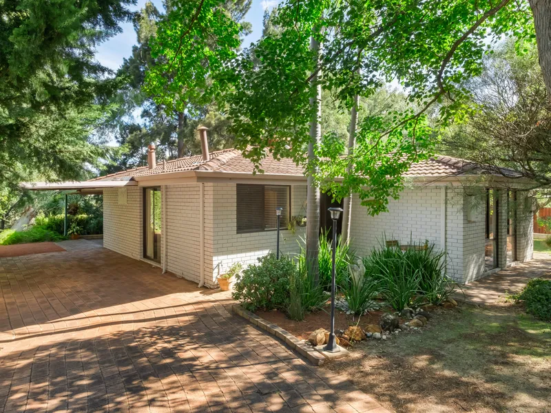 Modern Charm | Suburban Oasis