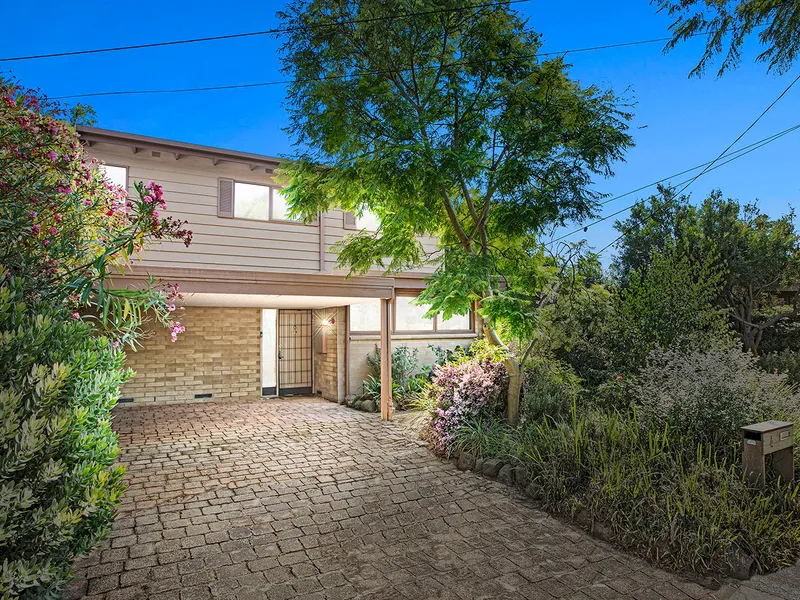 You’ll Never Draw The Blinds Again