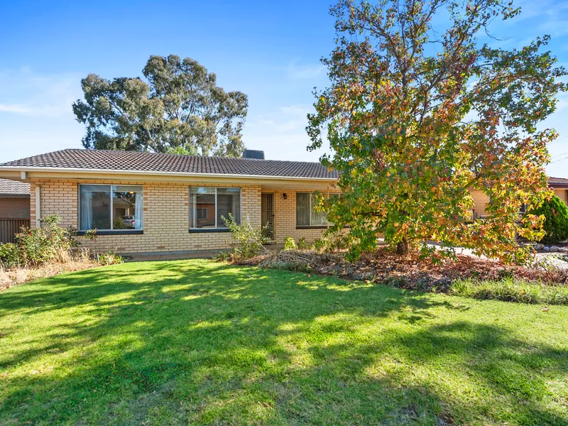 Updated 4 bed ,pets negotiable, close to all amenities