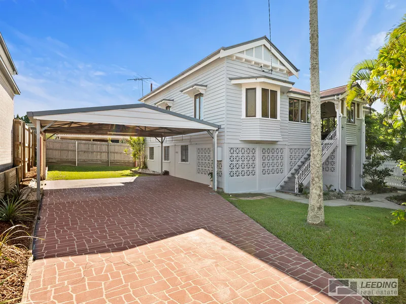 STUNNING CHARACTER QUEENSLANDER 