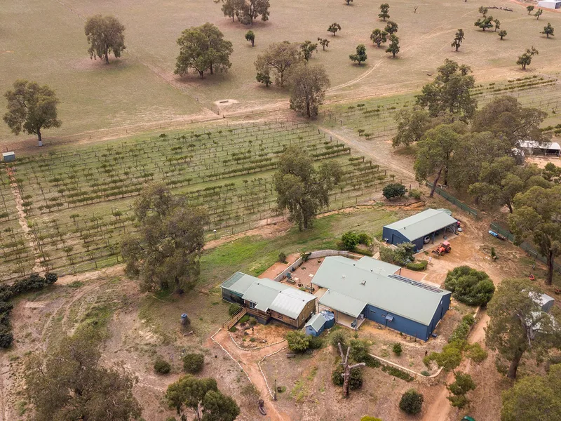 52 acres of Rural - Rural Residential Home - Land and Buildings with over 10 acres of vineyards.