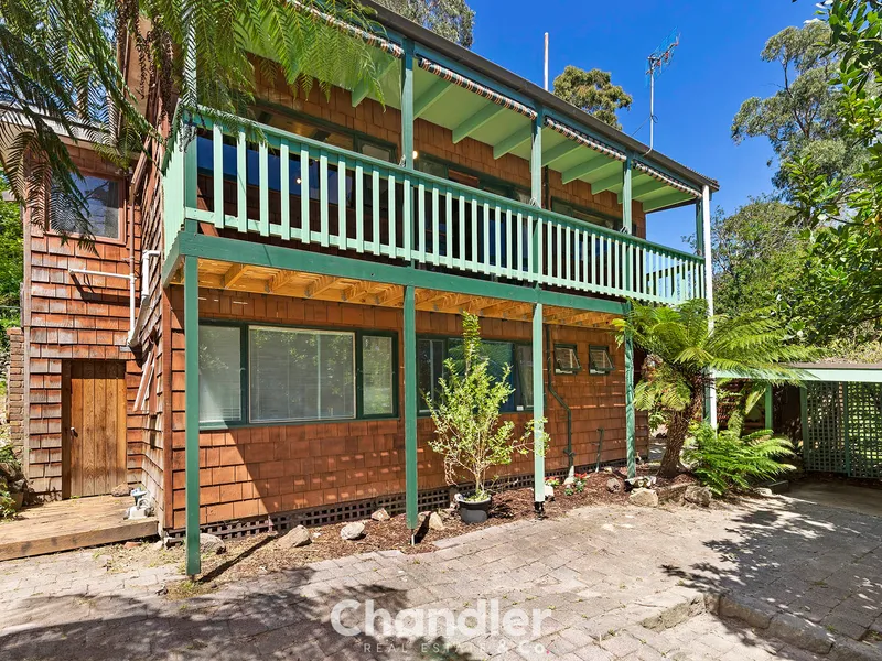 THE QUINTESSENTIAL HILLS HOME