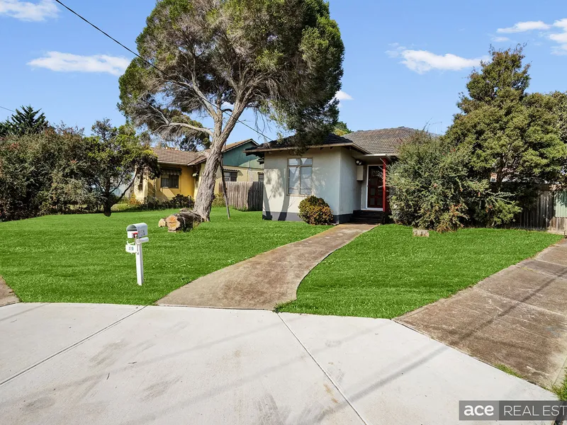 Poised for a Bright Future on a Corner Allotment