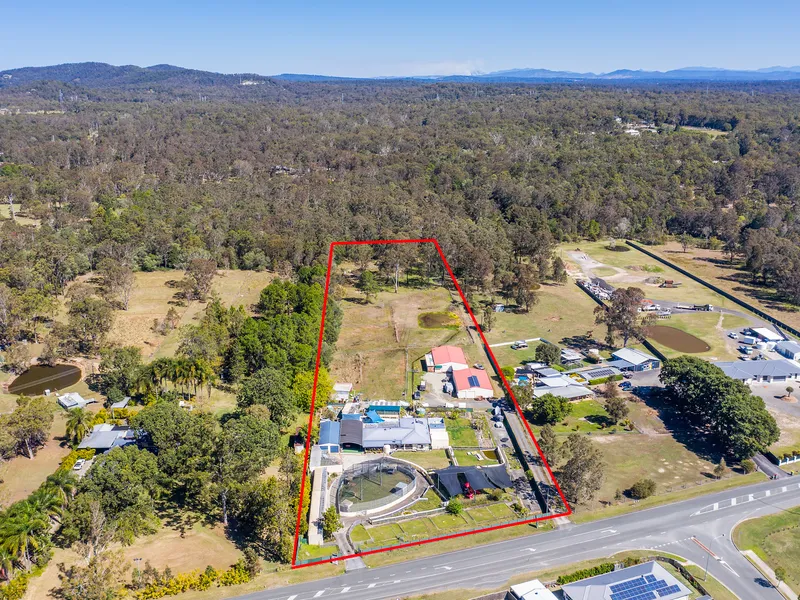 Sheds that will have ALL the Neighbours talking!