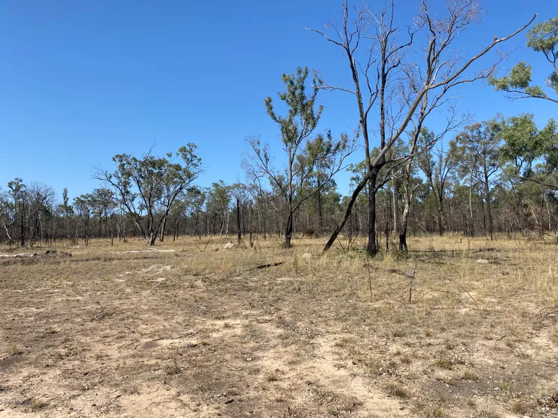 Lifestyle Block For Sale