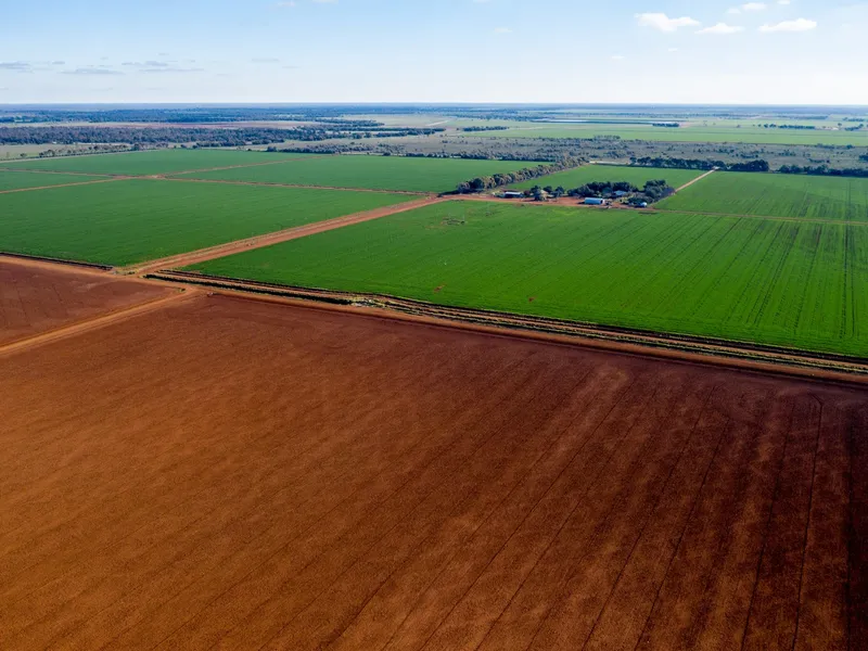 Turnkey Irrigation Farm Ready To Fire