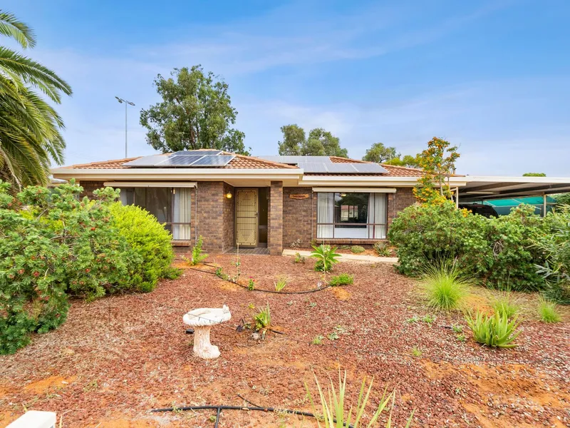 Great Entertainer on a Generous Allotment